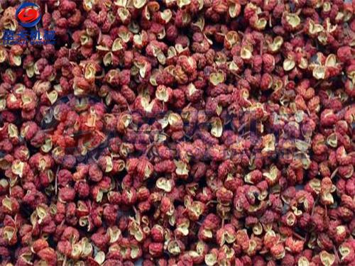 山西花椒烘干機扶貧項目